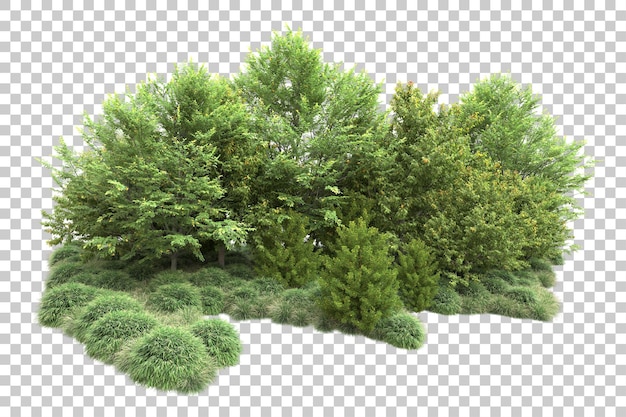 Paisaje verde aislado sobre fondo transparente ilustración de renderizado 3d