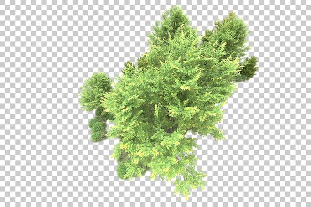 Paisaje verde aislado sobre fondo transparente ilustración de renderizado 3d