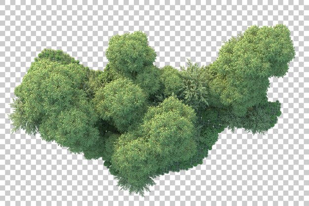 Paisaje verde aislado sobre fondo transparente ilustración de renderizado 3d