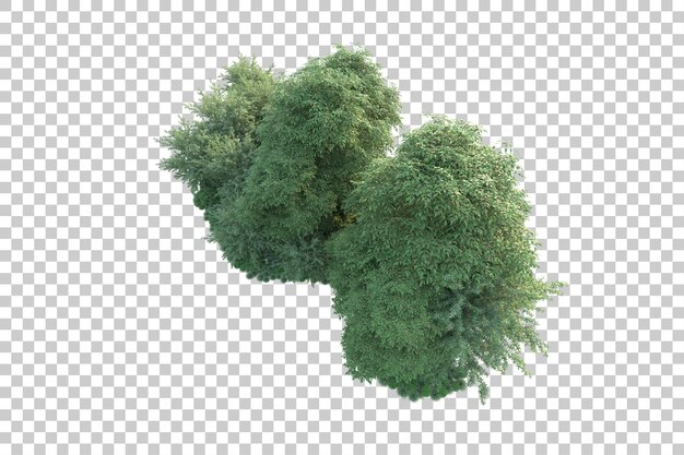 Paisaje verde aislado sobre fondo transparente ilustración de renderizado 3d