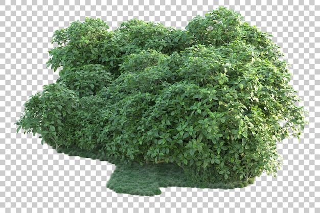Paisaje verde aislado sobre fondo transparente ilustración de renderizado 3d