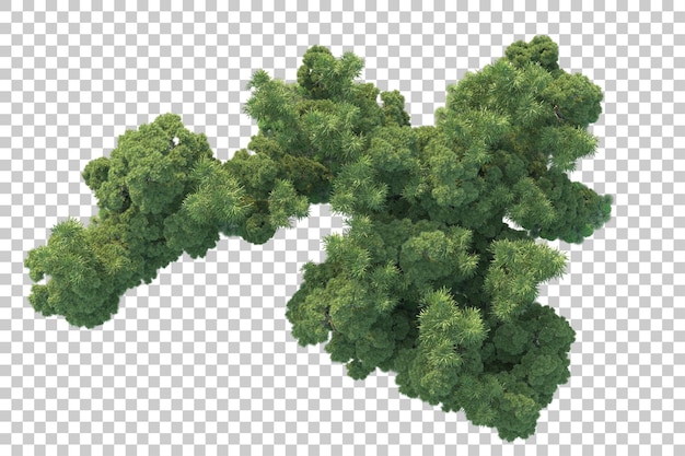Paisaje verde aislado sobre fondo transparente ilustración de renderizado 3d