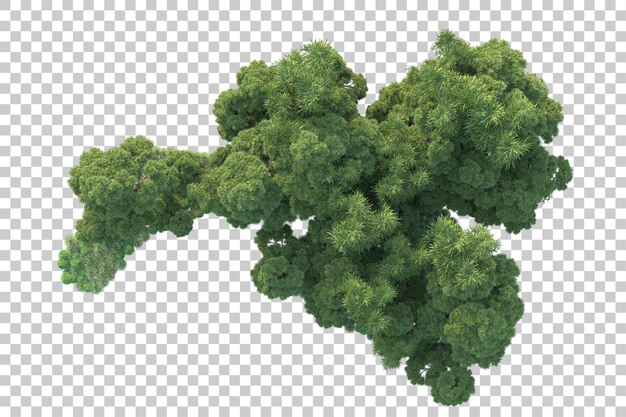 Paisaje verde aislado sobre fondo transparente ilustración de renderizado 3d