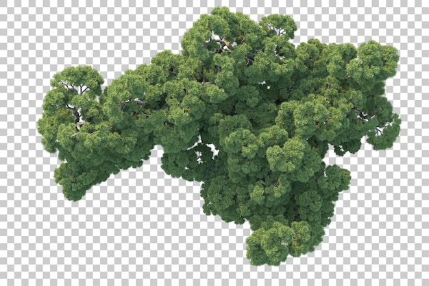 Paisaje verde aislado sobre fondo transparente ilustración de renderizado 3d
