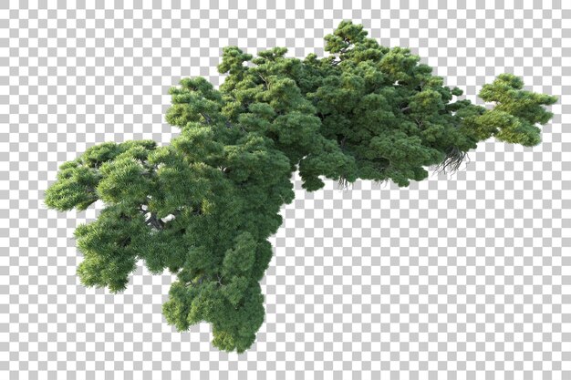Paisaje verde aislado sobre fondo transparente ilustración de renderizado 3d