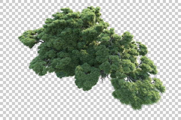 Paisaje verde aislado sobre fondo transparente ilustración de renderizado 3d