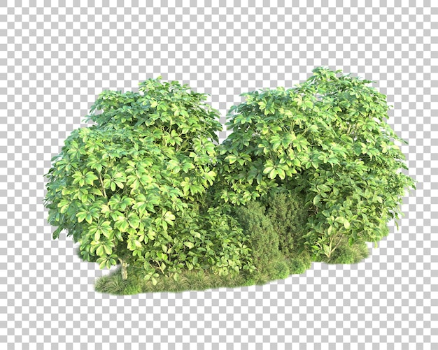 Paisaje verde aislado sobre fondo transparente ilustración de renderizado 3d