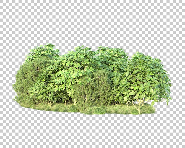 Paisaje verde aislado sobre fondo transparente ilustración de renderizado 3d