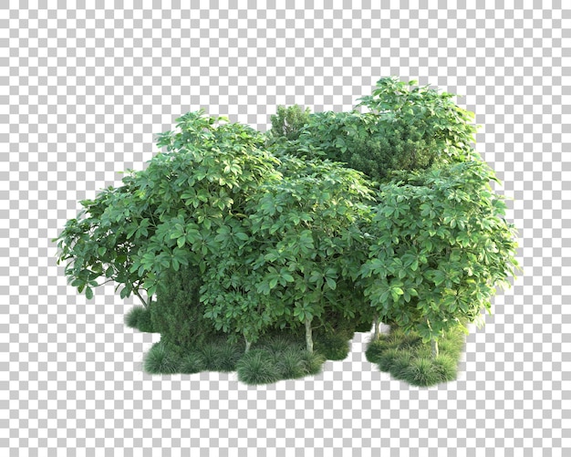 Paisaje verde aislado sobre fondo transparente ilustración de renderizado 3d