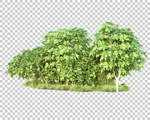 Paisaje verde aislado sobre fondo transparente ilustración de renderizado 3d