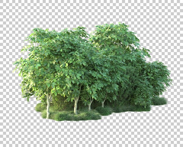 Paisaje verde aislado sobre fondo transparente ilustración de renderizado 3d