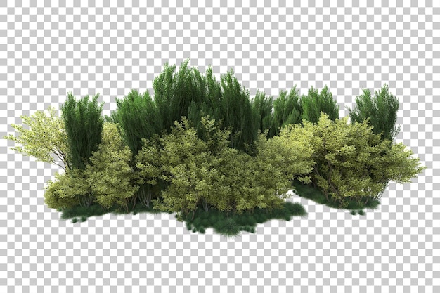 Paisaje verde aislado sobre fondo transparente ilustración de renderizado 3d