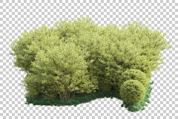 Paisaje verde aislado sobre fondo transparente ilustración de renderizado 3d