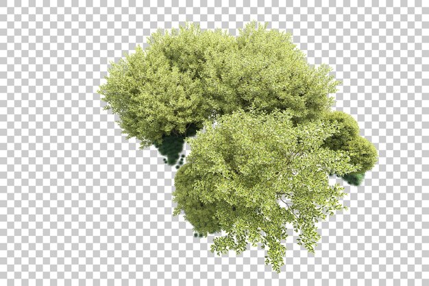 Paisaje verde aislado sobre fondo transparente ilustración de renderizado 3d