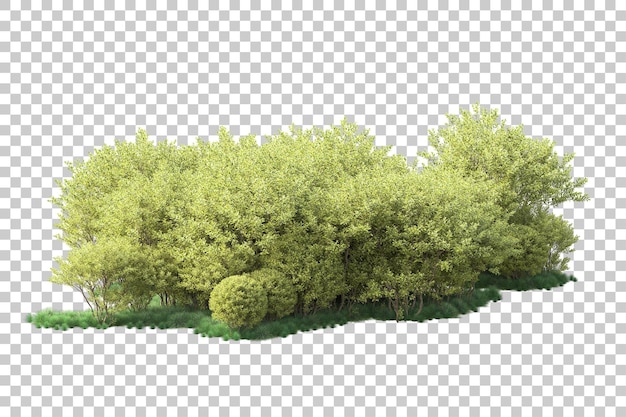 Paisaje verde aislado sobre fondo transparente ilustración de renderizado 3d