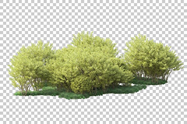 Paisaje verde aislado sobre fondo transparente ilustración de renderizado 3d