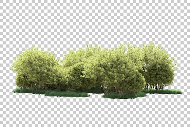 Paisaje verde aislado sobre fondo transparente ilustración de renderizado 3d