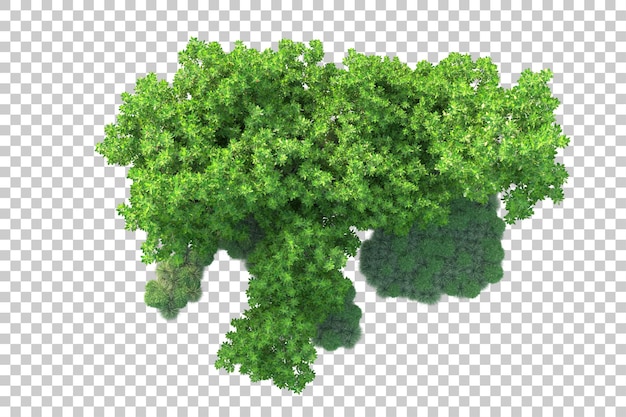 Paisaje verde aislado sobre fondo transparente ilustración de renderizado 3d