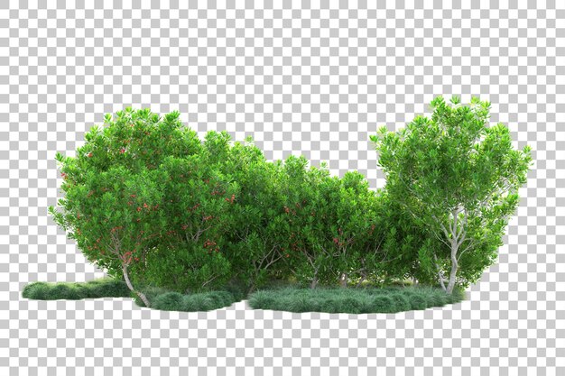 Paisaje verde aislado sobre fondo transparente ilustración de renderizado 3d