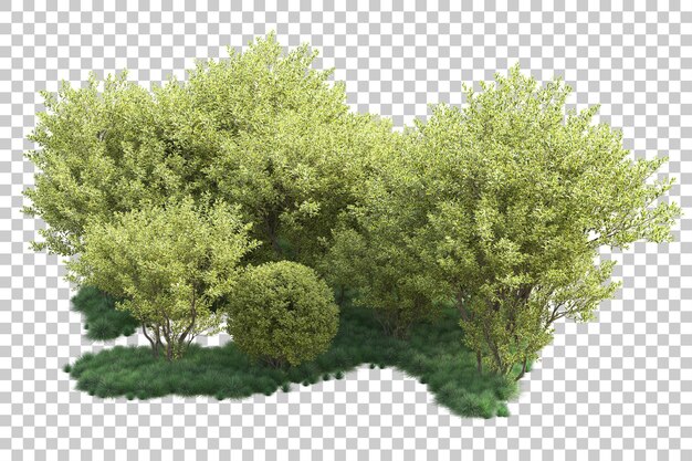 Paisaje verde aislado sobre fondo transparente ilustración de renderizado 3d