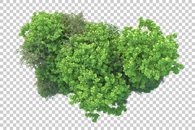 Paisaje verde aislado sobre fondo transparente ilustración de renderizado 3d