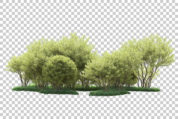 Paisaje verde aislado sobre fondo transparente ilustración de renderizado 3d