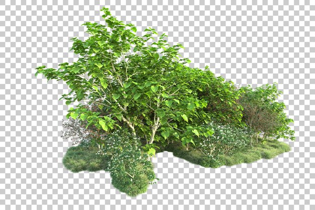 Paisaje verde aislado sobre fondo transparente ilustración de renderizado 3d