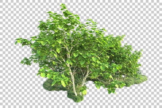 Paisaje verde aislado sobre fondo transparente ilustración de renderizado 3d