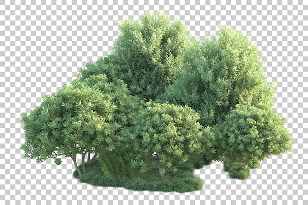 Paisaje verde aislado sobre fondo transparente ilustración de renderizado 3d