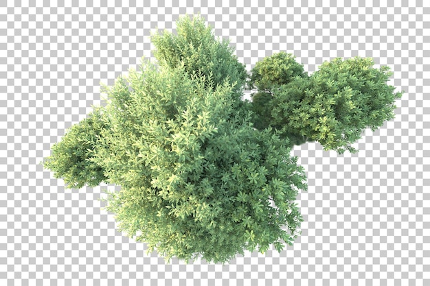 Paisaje verde aislado sobre fondo transparente ilustración de renderizado 3d