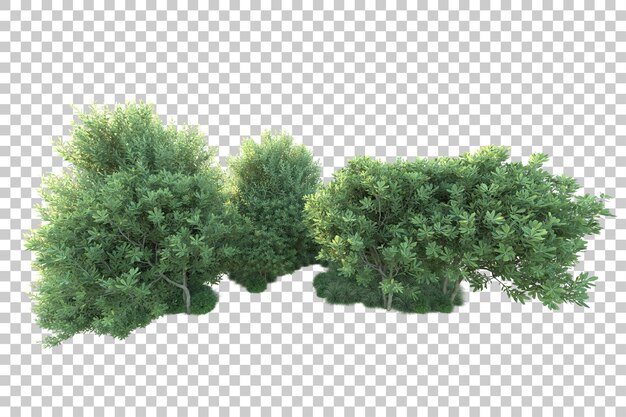 Paisaje verde aislado sobre fondo transparente ilustración de renderizado 3d