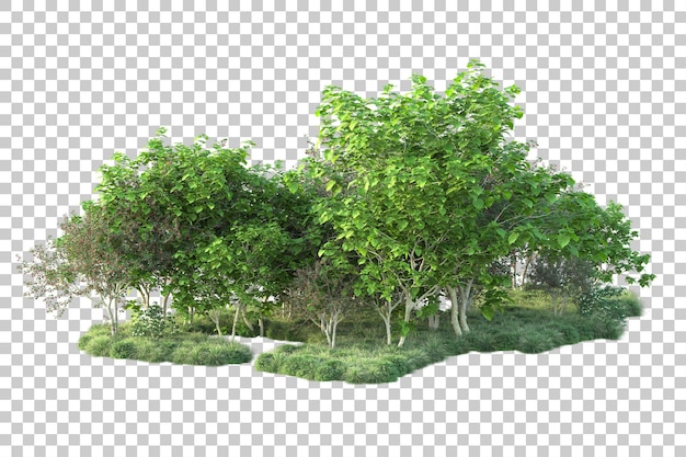 Paisaje verde aislado sobre fondo transparente ilustración de renderizado 3d