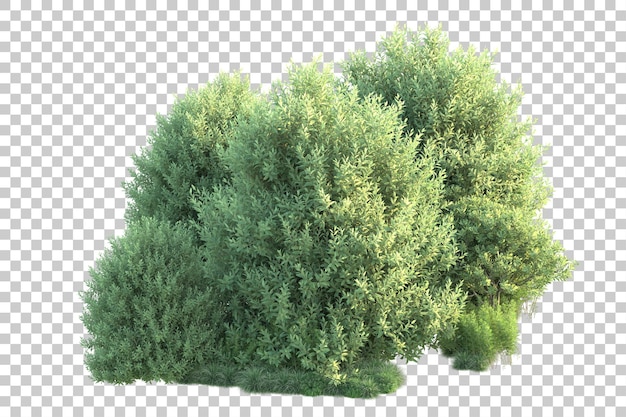 Paisaje verde aislado sobre fondo transparente ilustración de renderizado 3d