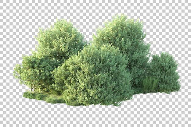 Paisaje verde aislado sobre fondo transparente ilustración de renderizado 3d