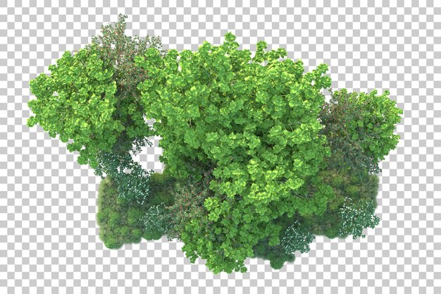 Paisaje verde aislado sobre fondo transparente ilustración de renderizado 3d