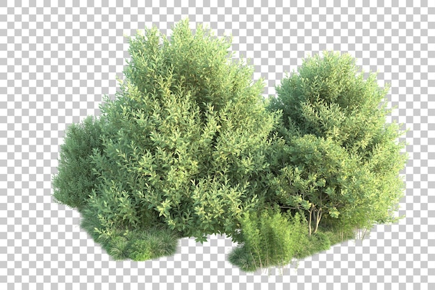 Paisaje verde aislado sobre fondo transparente ilustración de renderizado 3d