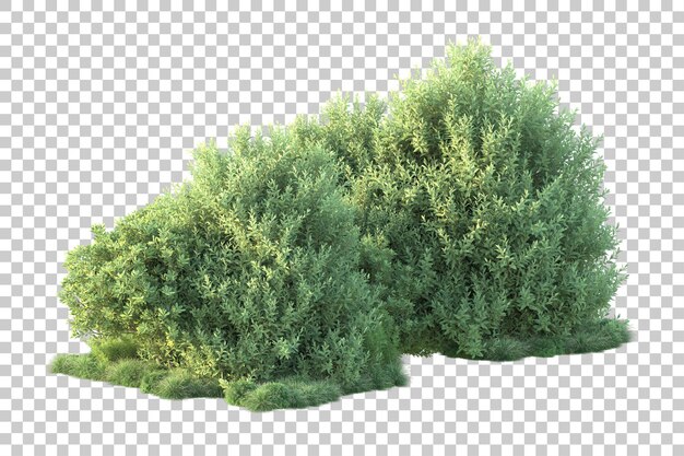 Paisaje verde aislado sobre fondo transparente ilustración de renderizado 3d