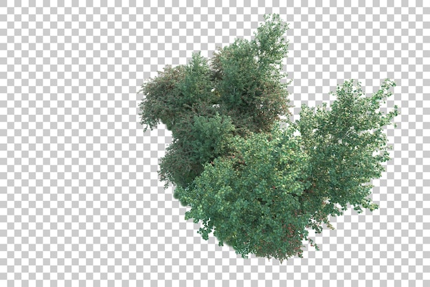 Paisaje verde aislado sobre fondo transparente ilustración de renderizado 3d