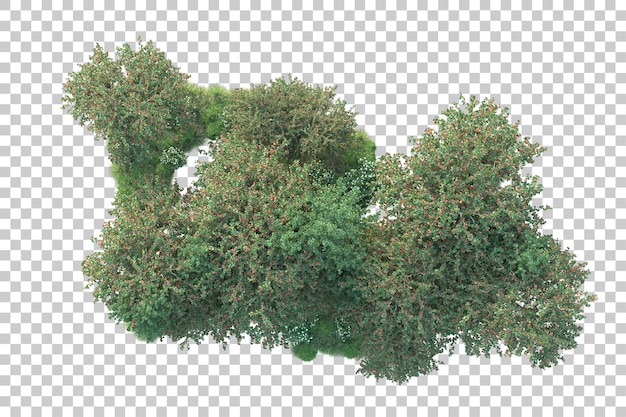 Paisaje verde aislado sobre fondo transparente ilustración de renderizado 3d