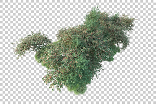 Paisaje verde aislado sobre fondo transparente ilustración de renderizado 3d