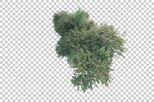 Paisaje verde aislado sobre fondo transparente ilustración de renderizado 3d