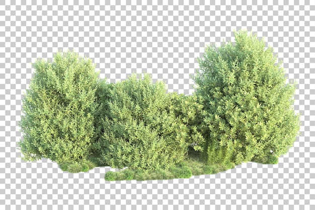 Paisaje verde aislado sobre fondo transparente ilustración de renderizado 3d