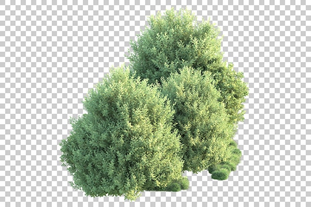 Paisaje verde aislado sobre fondo transparente ilustración de renderizado 3d