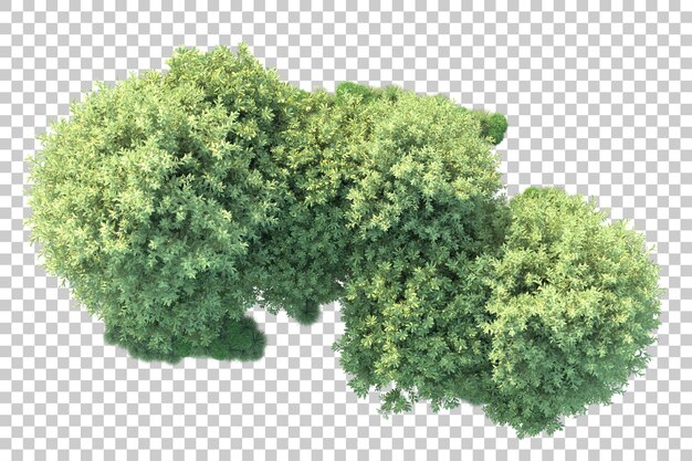 Paisaje verde aislado sobre fondo transparente ilustración de renderizado 3d