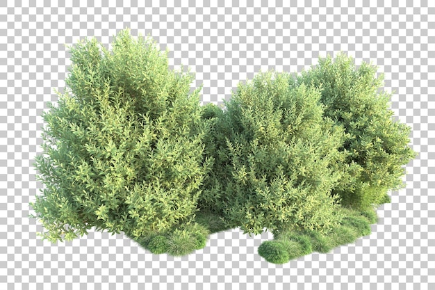 Paisaje verde aislado sobre fondo transparente ilustración de renderizado 3d