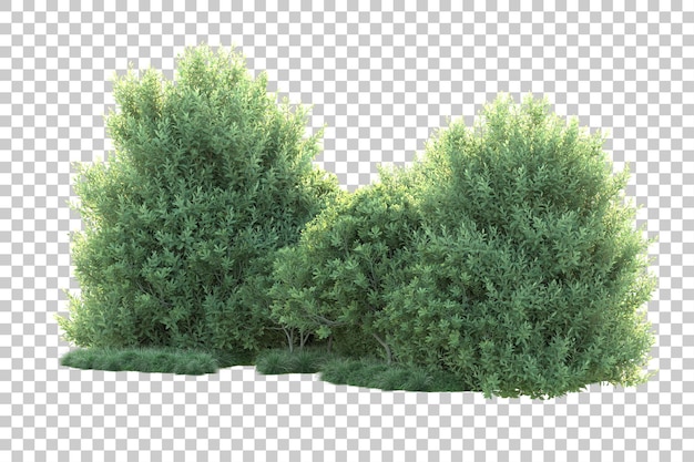 Paisaje verde aislado sobre fondo transparente ilustración de renderizado 3d