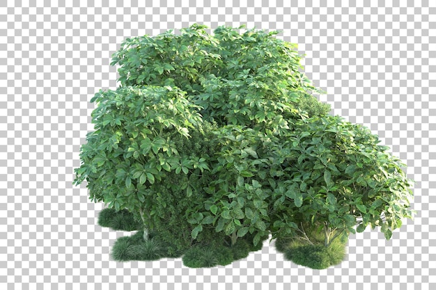Paisaje verde aislado sobre fondo transparente ilustración de renderizado 3d