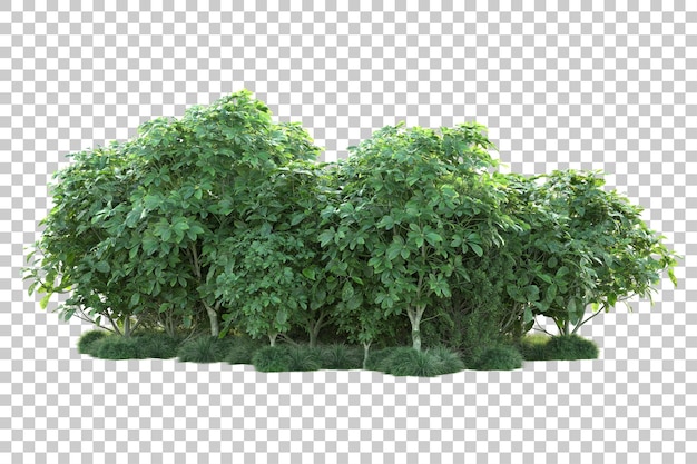 Paisaje verde aislado sobre fondo transparente ilustración de renderizado 3d