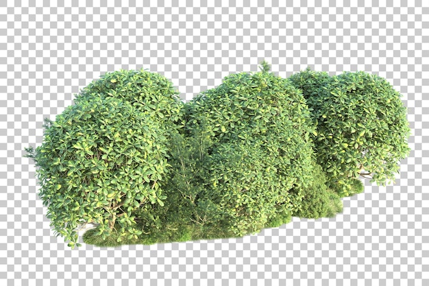 Paisaje verde aislado sobre fondo transparente ilustración de renderizado 3d