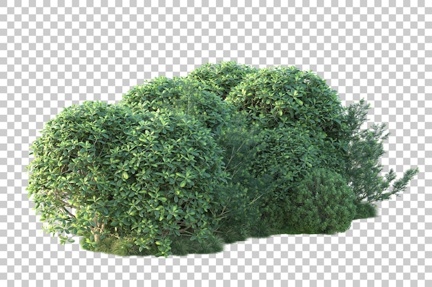 Paisaje verde aislado sobre fondo transparente ilustración de renderizado 3d